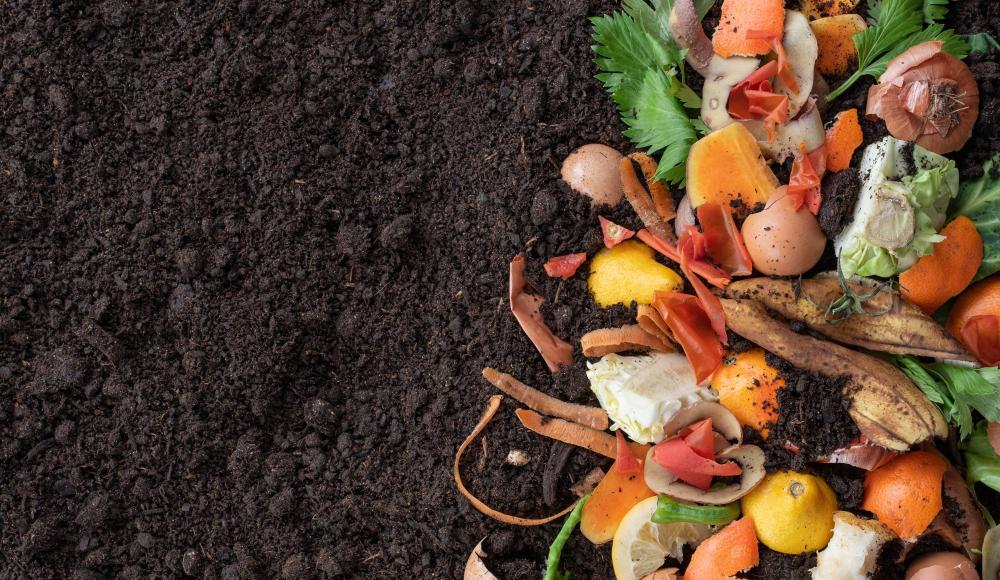 Κομποστοποιητές